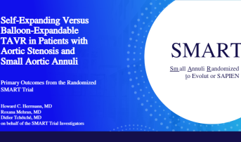 Self-Expanding Versus Balloon-Expandable TAVR in Patients with Aortic Stenosis and Small Aortic Annuli